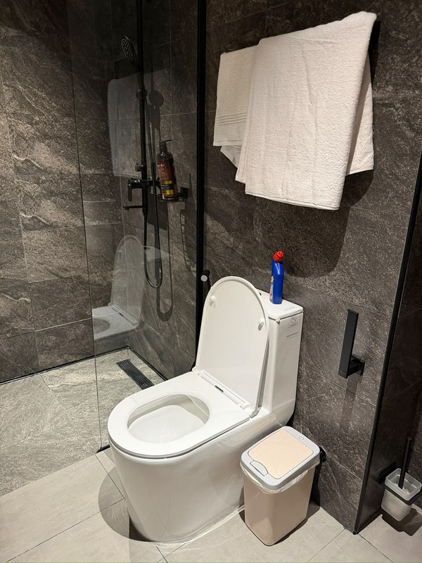 Sleek Bathroom Setup Glass Split