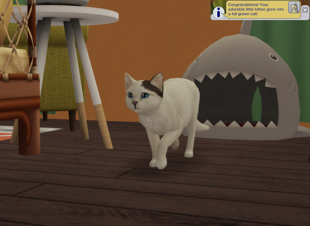a-Sims2-EP9-RPC-2025-01-05-15-30-29-23