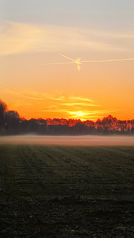 Lumii 20251107 075143638