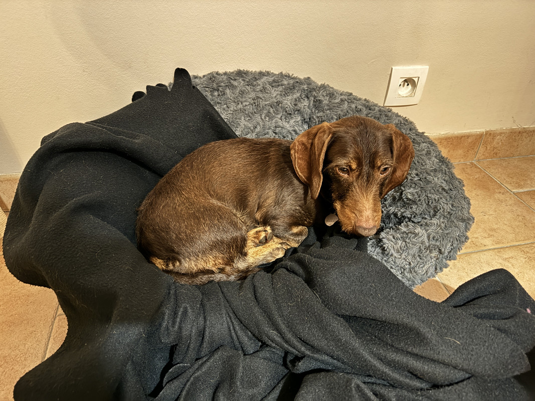 [Image: IMG-0239.jpg]