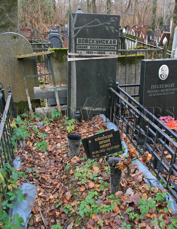 voyskunsky-el-old