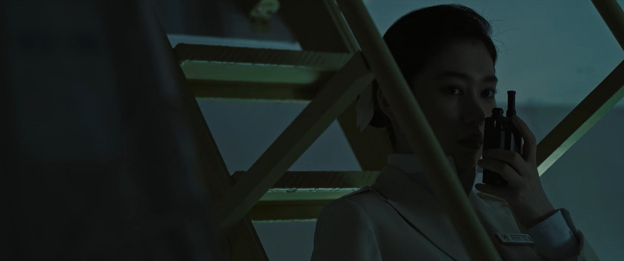 High Forces 2024 BluRay [Hindi + Tamil + Telugu + Chinese] 480p 720p ESub Screenshot