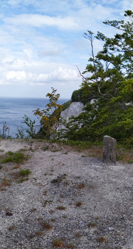 IMG-20201221-114438.jpg