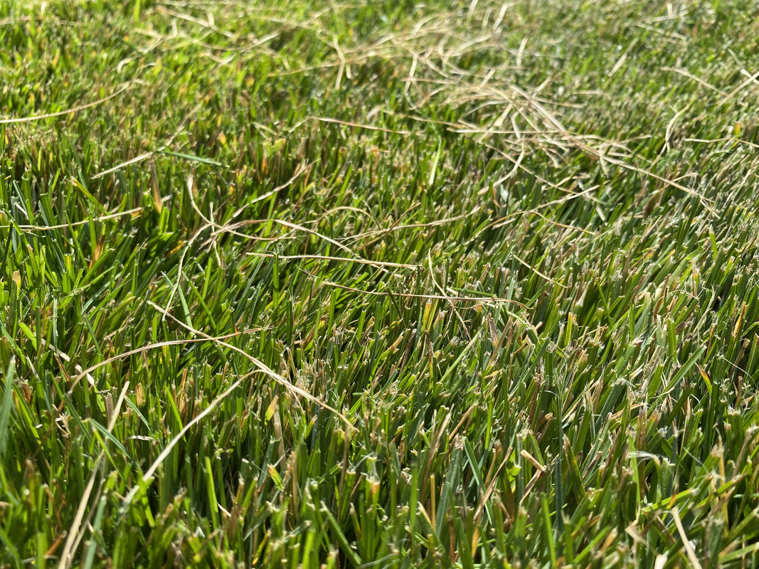 0D1C496B-4303-485E-B60A-B8709D6967C4