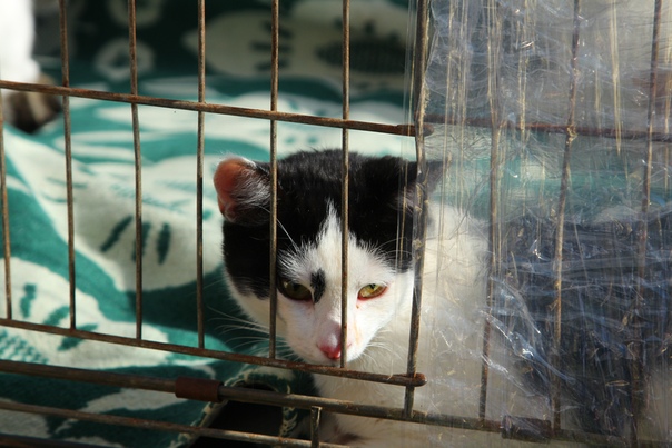 ED5DF502-8023-4236-AA00-2F72D1CB049C