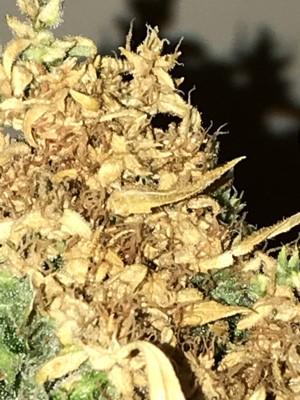 AB10C848-82E3-4901-A243-6BA56ED1C682