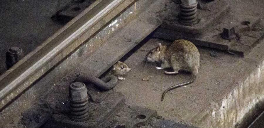 Метро: удивительные инженерные решения и тайны подземных магистралей мира Метро: удивительные инженерные решения и тайны подземных магистралей мира