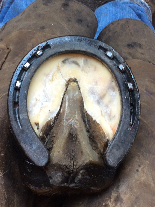 A24FAA02-0F70-4C31-9DBB-E7ECB2EE38D7