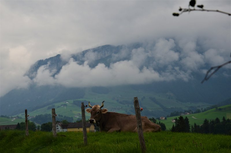 VILTERS-WANGS-6-9-2019 - Suiza y sus pueblos-2019 (5)