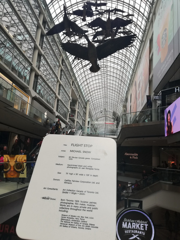 Cánada Este Julio/Agosto 22 dias. - Blogs de Canada - - Toronto y alrededores. Old Town Nathan Phillips, City Hall, Dundas Sq (5)