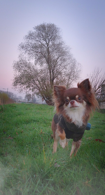 Lumii_20201129_181616179