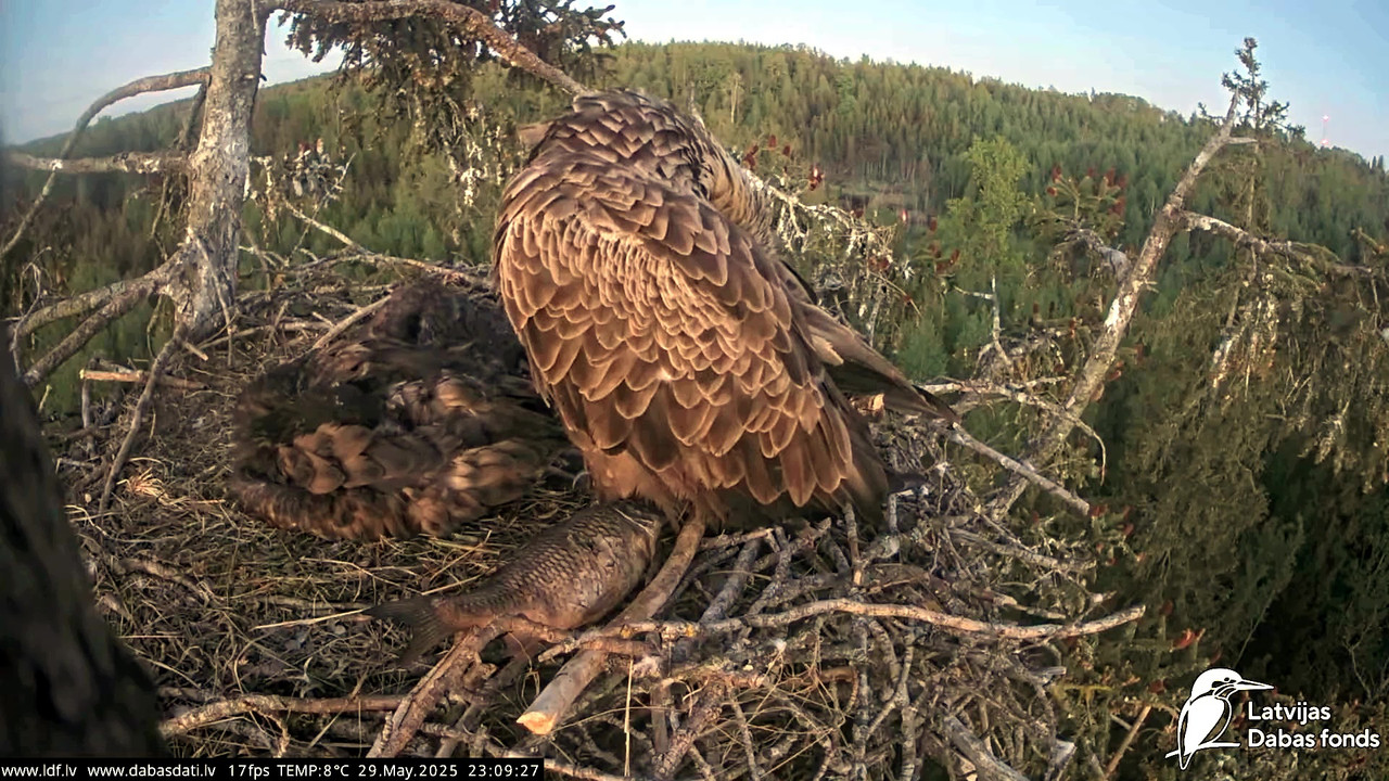 vlcsnap-2025-05-30-04h49m51s185