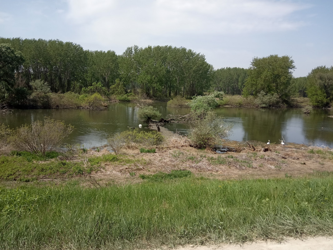 [Slika: IMG-20190425-121501.jpg]