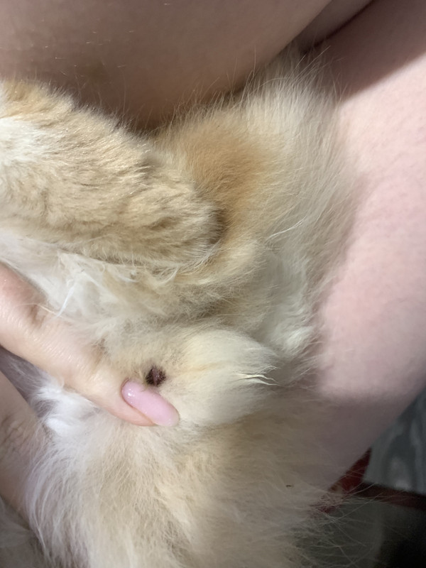 A709AF40-37FA-45D7-B1CE-9972E440B4A0