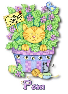 Pam-Catnip