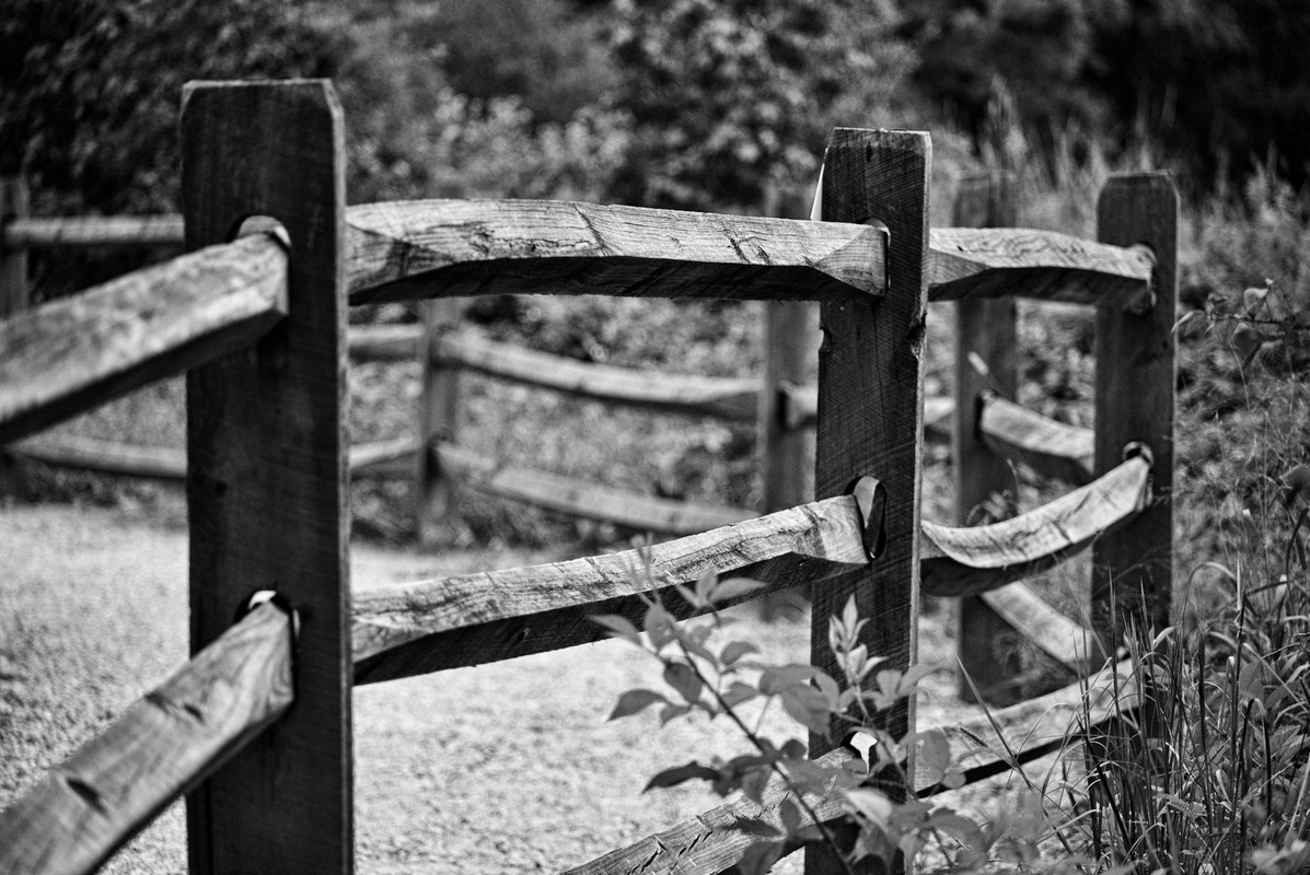 split-rail-fence3.jpg