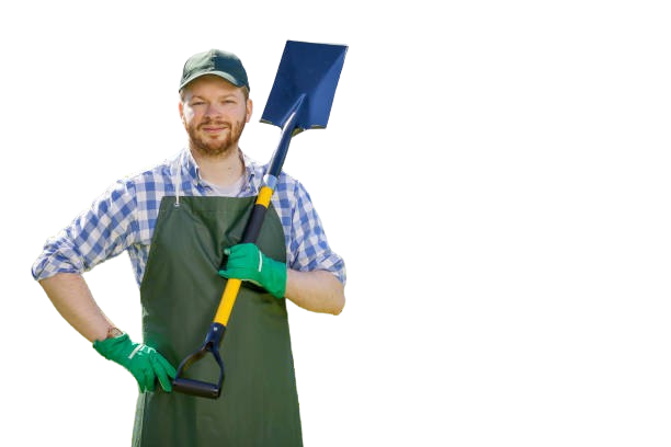 Tree Services Specialists in Anniston, AL