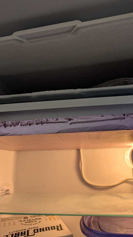 PXL 20260207 063318327