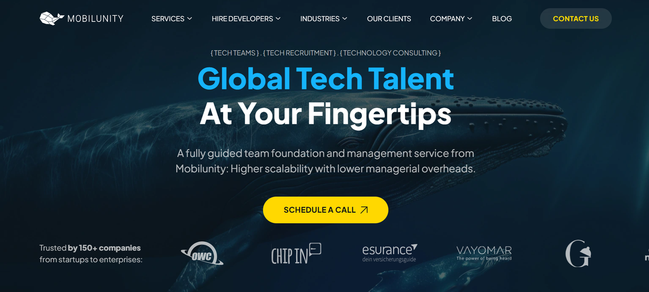 Rust Consulting Firm Mobilunity