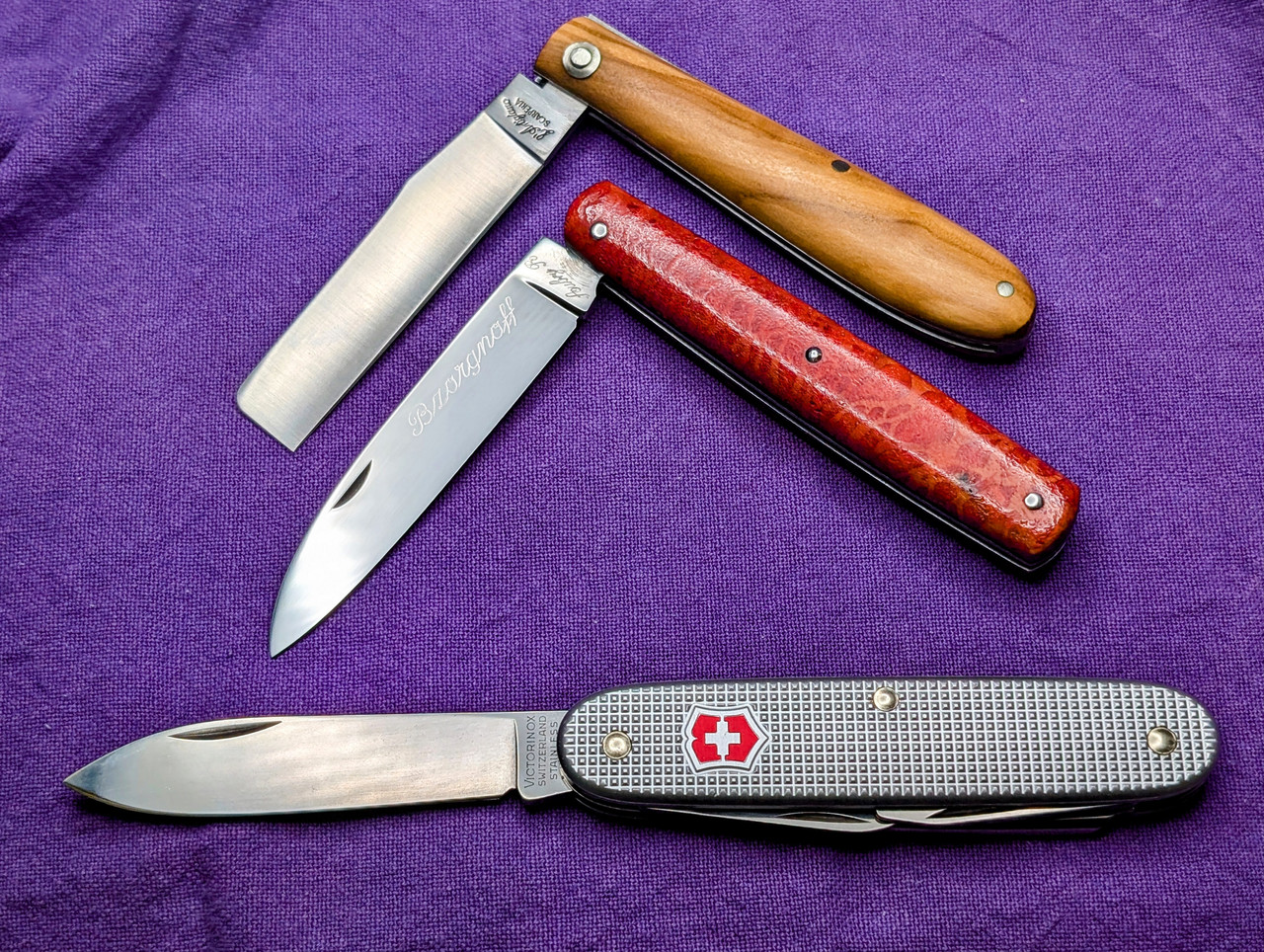 PXL 20250202 205706916 2