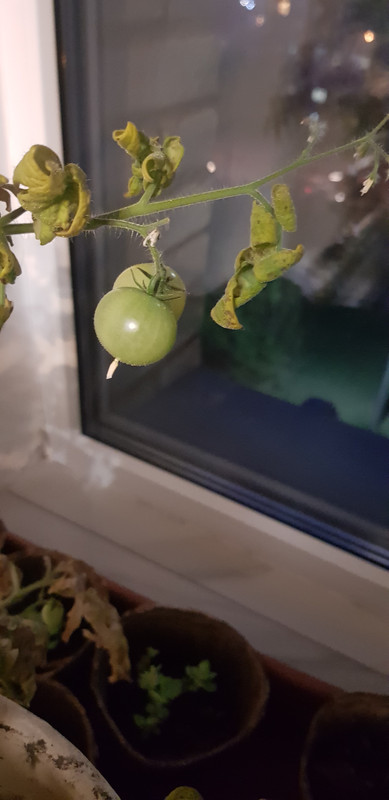 1685546452342669312407902790210