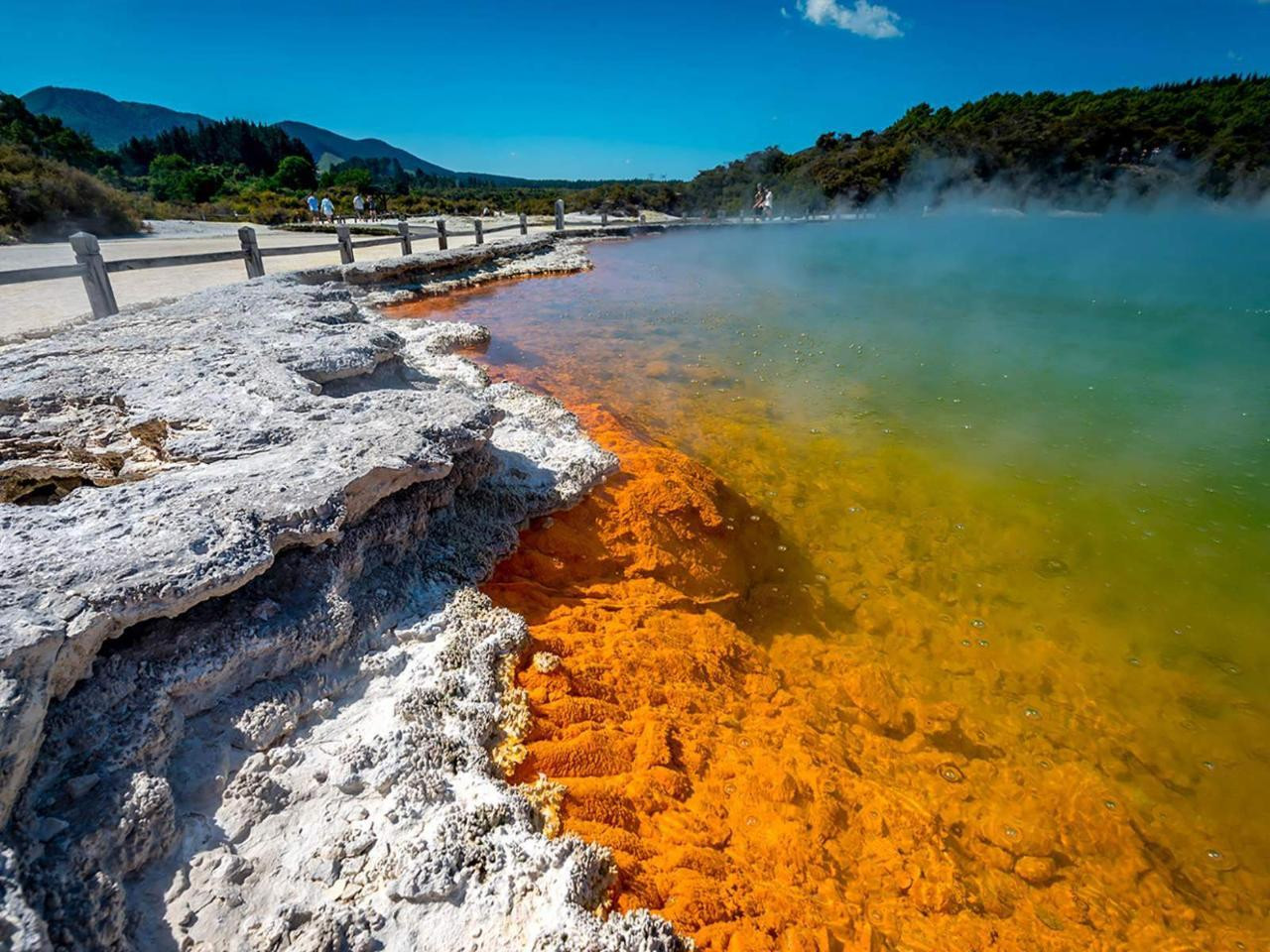 From Auckland: Rotorua Wai-O-Tapu, Te Puia & Maori Haka Small Group Tour | Shaara Deals