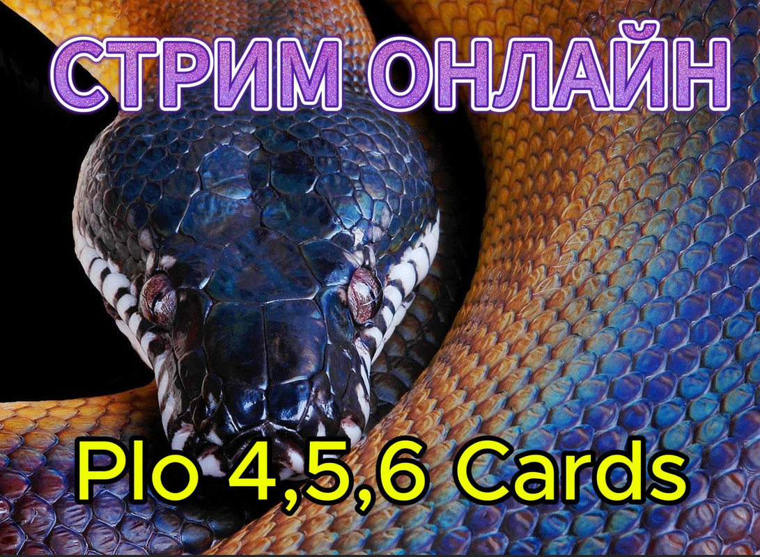 Скриншот 13-03-2025 144752