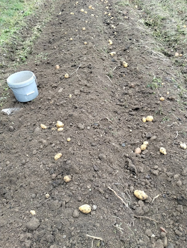 IMG_20251020_110145324