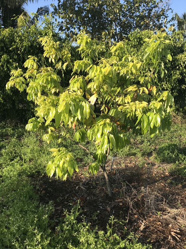 2A10A5C0-8186-491A-84EE-9F98E2348598