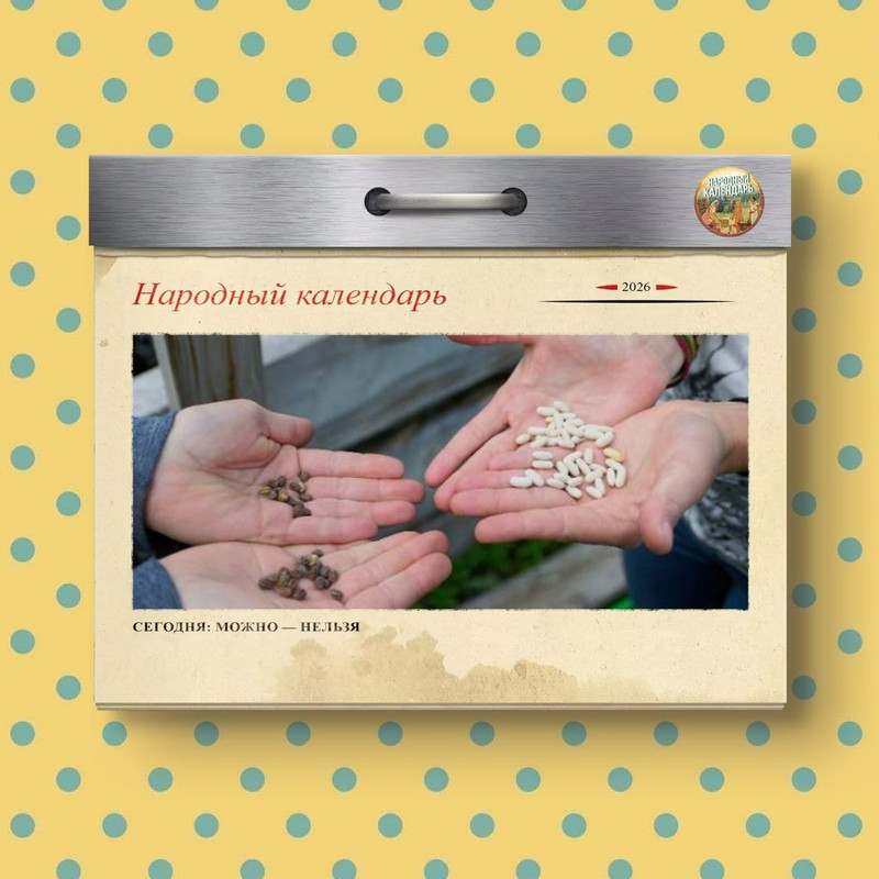 [Изображение: photo-2026-05-22-07-50-39.jpg]