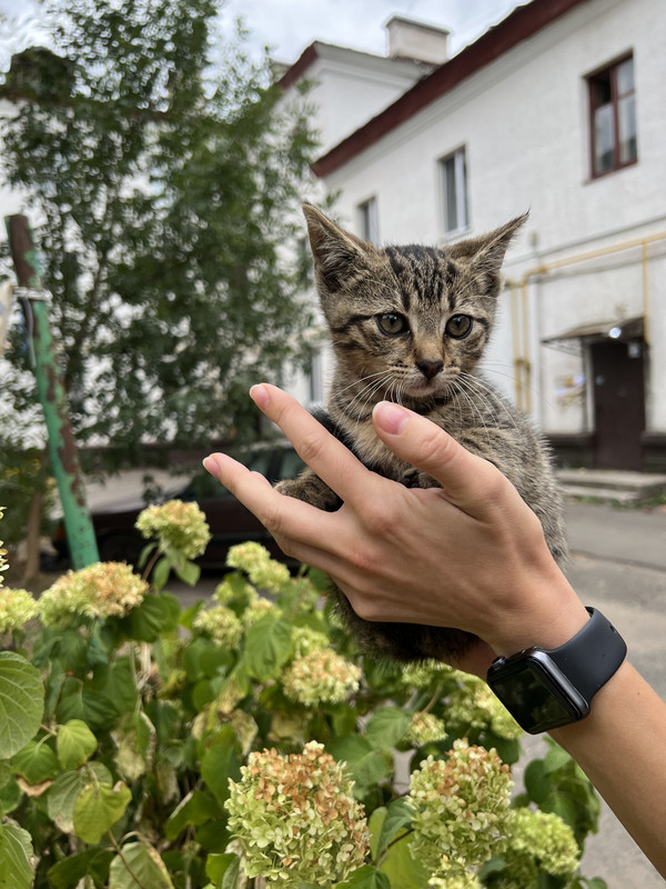 6996D71D-592F-4B05-A650-21053C60212C