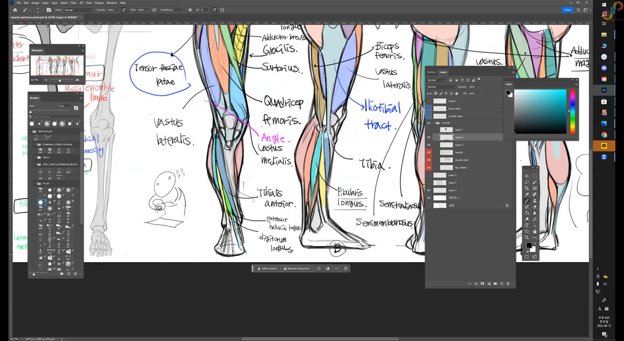 week 1 anatomy 2160p 0002 01 58 07