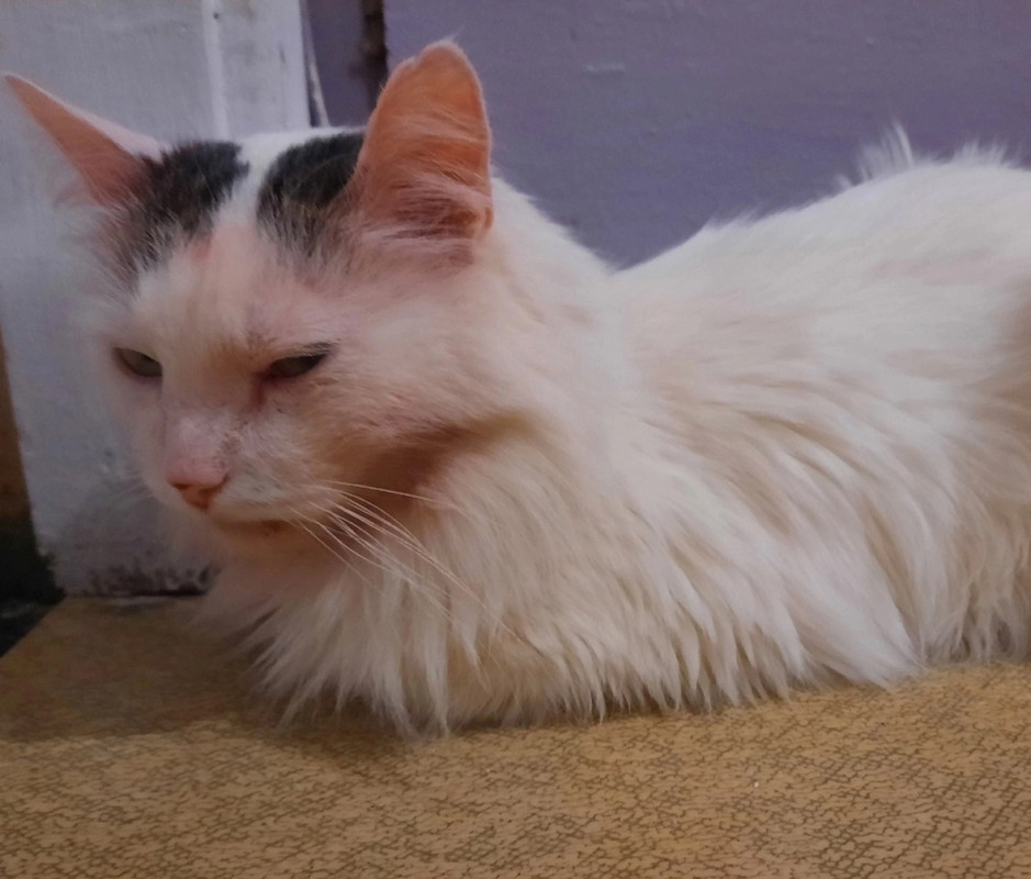 сэм сор 16.04.2025