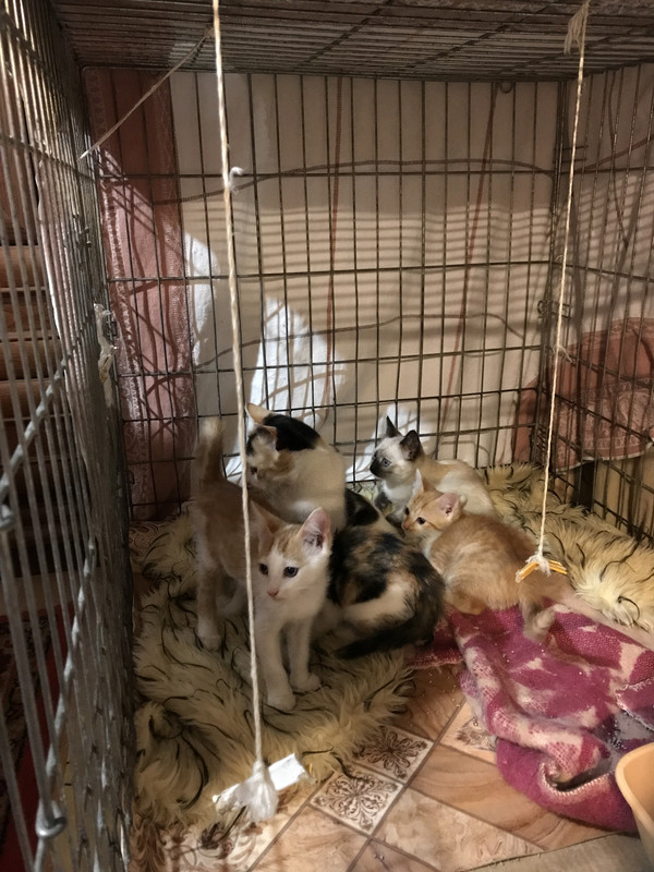 9561F36B-95AE-41BC-8D8B-3D46ABF671DD