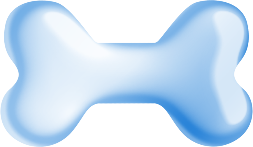 Christmas in Forest11