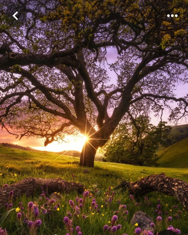 Screenshot_20240320_225627_Pinterest