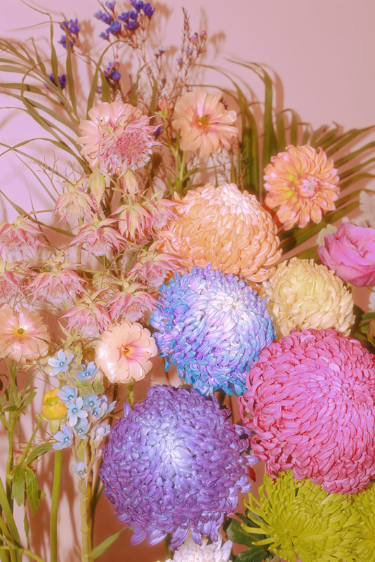 The Wonderland of Flowers