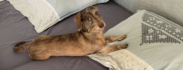 [Image: IMG-6527.jpg]