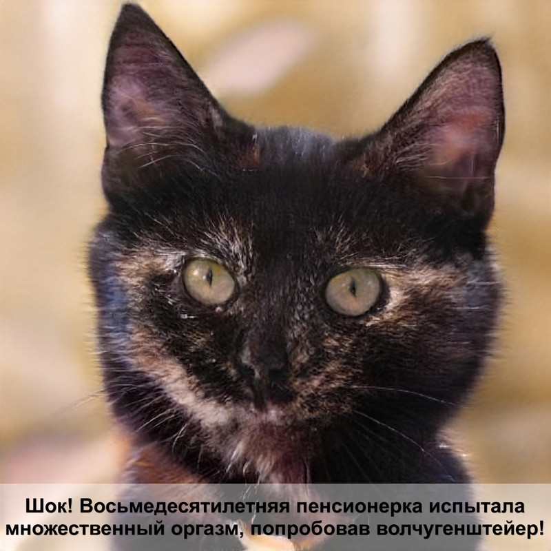 кошку часто рвет шерстью