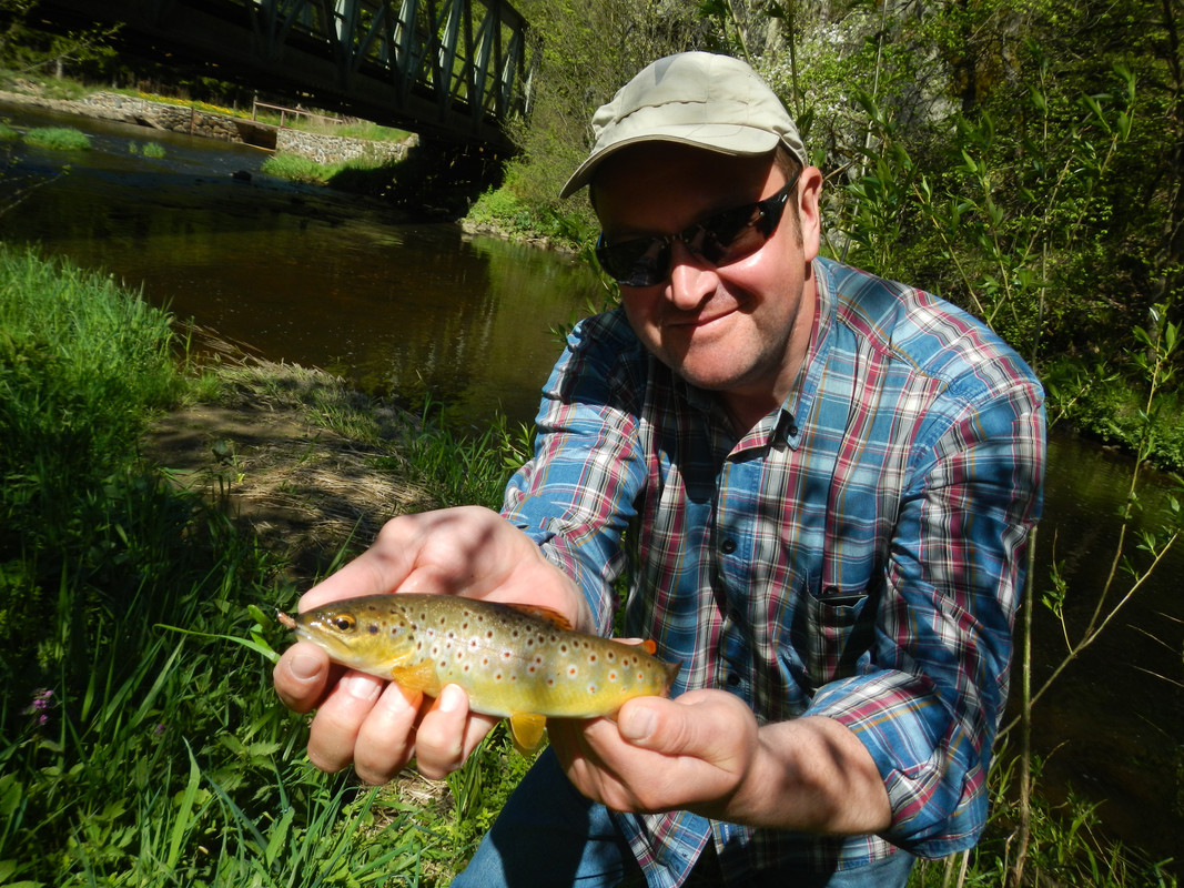 Копировать DSCN4151