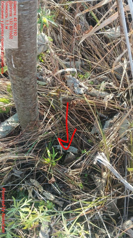 photo 2025 10 24 09 48 56