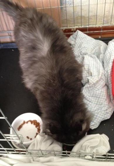 ФОТОГРАФИЯ(16)_crop