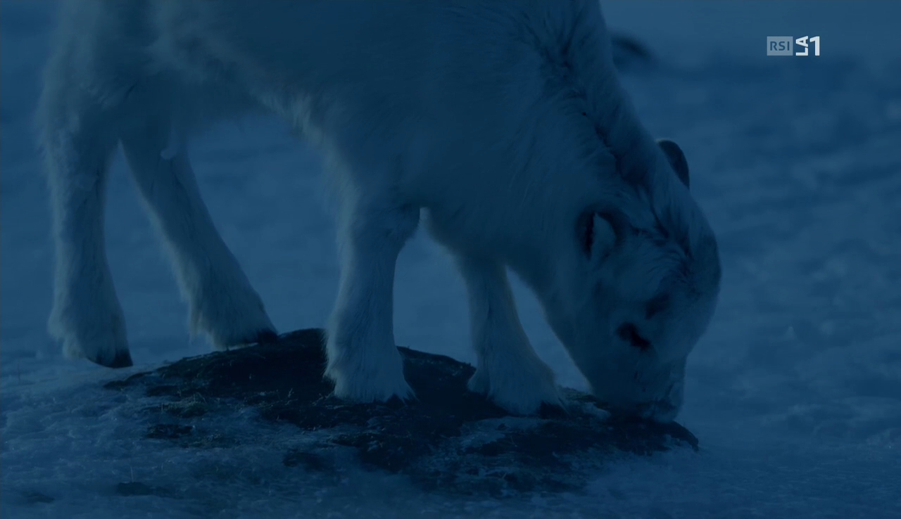 vlcsnap-2017-02-08-18h54m19s737