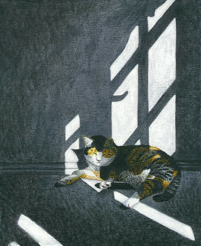 13-cat-in-empty-room-carol-wilson