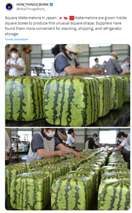 Viereckige Wassermelonen