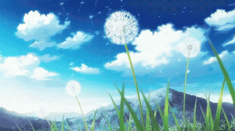 resized-window-blowing-dandilions