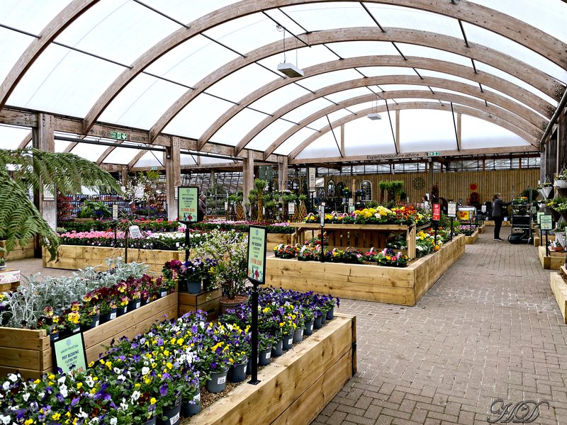 plants-GC-HD.jpg