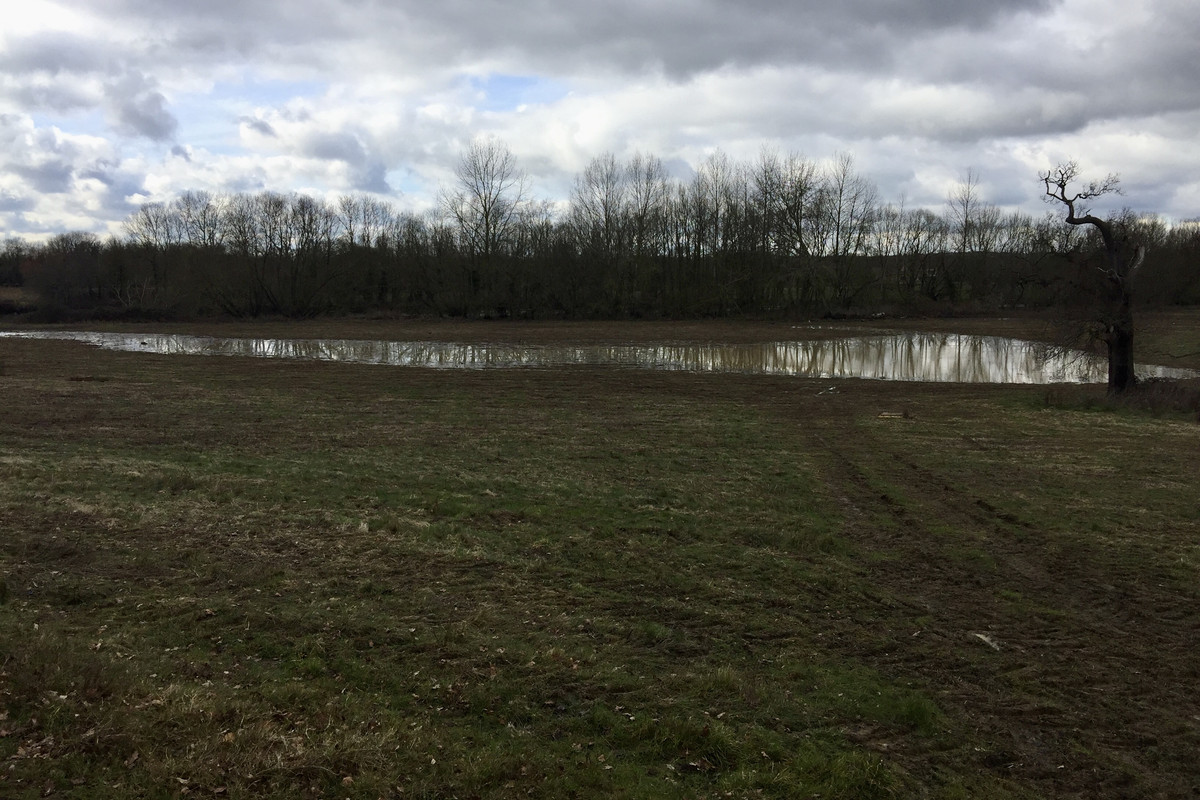 C49F8AFF-C40A-4E63-912C-31F67EB582D9