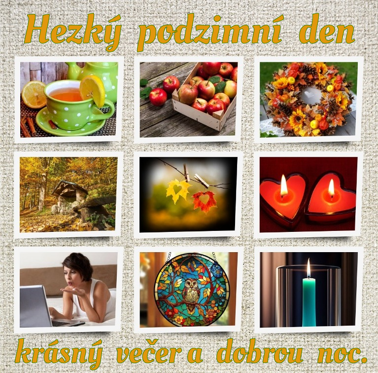 denv1