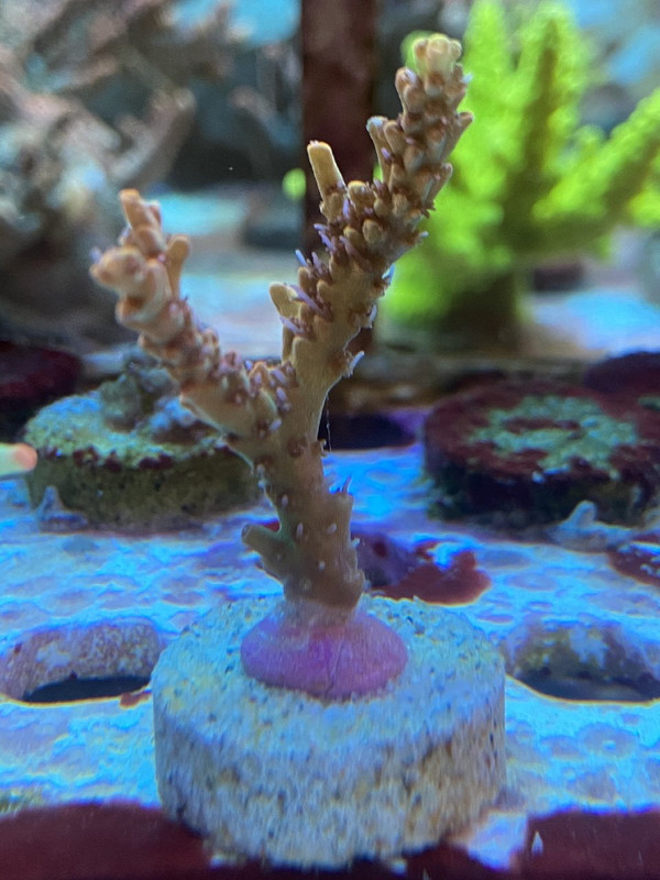 EDB86B2D-1AEA-4D44-97CA-A60A0F15A9FB